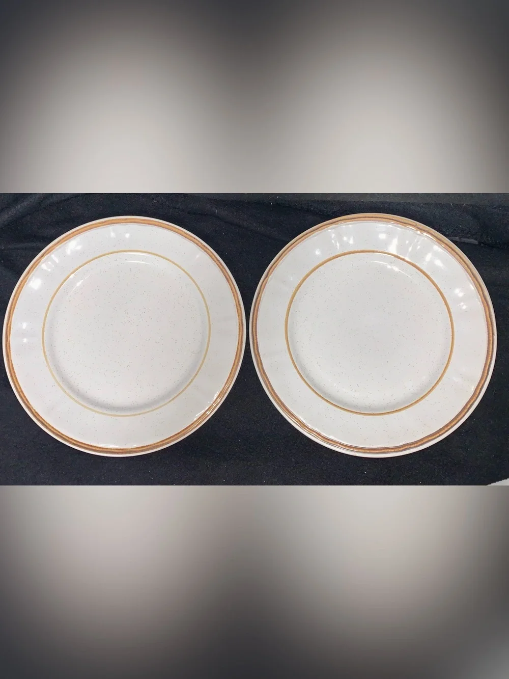 Handpainted Americana Hearthside Heritage Stoneware Dinner Plates Set of (2)